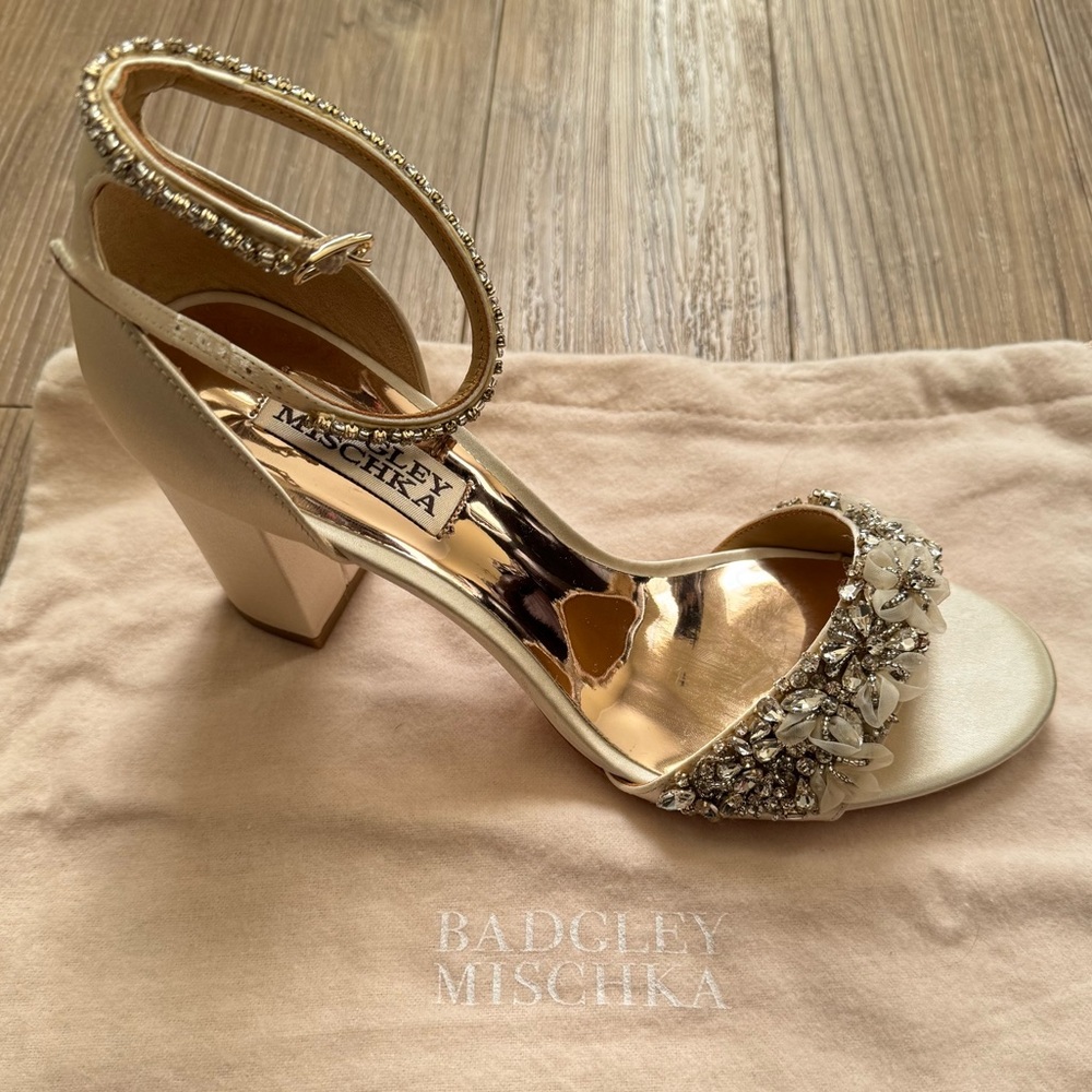 NEVER WORN, IN BOX Badgley Mischka Wedding Shoes 6.5